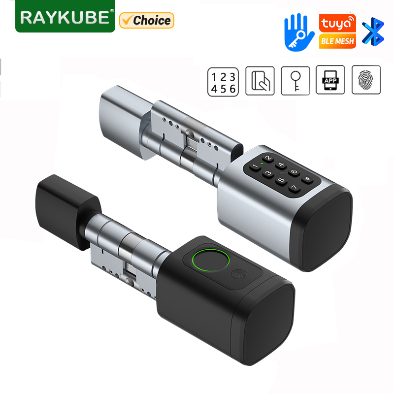 RAYKUBE V1 Tuya BLE TT serrure - Diy Home Electronics avis et prix